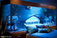 aquarium 10
