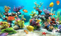 aquarium5 Салігорск 