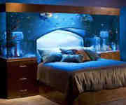 aquarium8 Uspantan