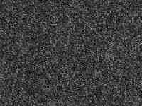 carpets5 Chilton