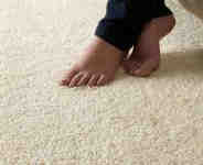 carpets6 Bor