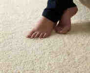 carpets6 Chilton