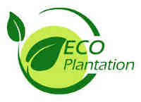 eco 2