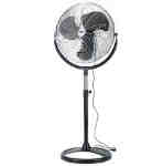 fan6 Abbots Bromley