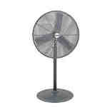 fan7 Abbots Bromley