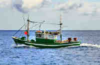 fishing6 Bel Ombre