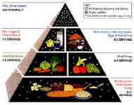 nutrients4 Gams