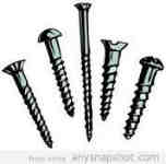 screws5 Winchester