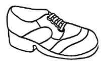 shoe 3