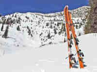 skis Hulst skis8 Hulst