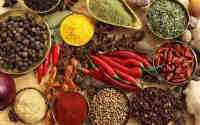 spices 2
