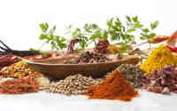 spices 3